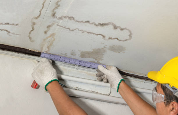 Reliable Water Damage contractor in Redwood, TX by Water Damage Irwin